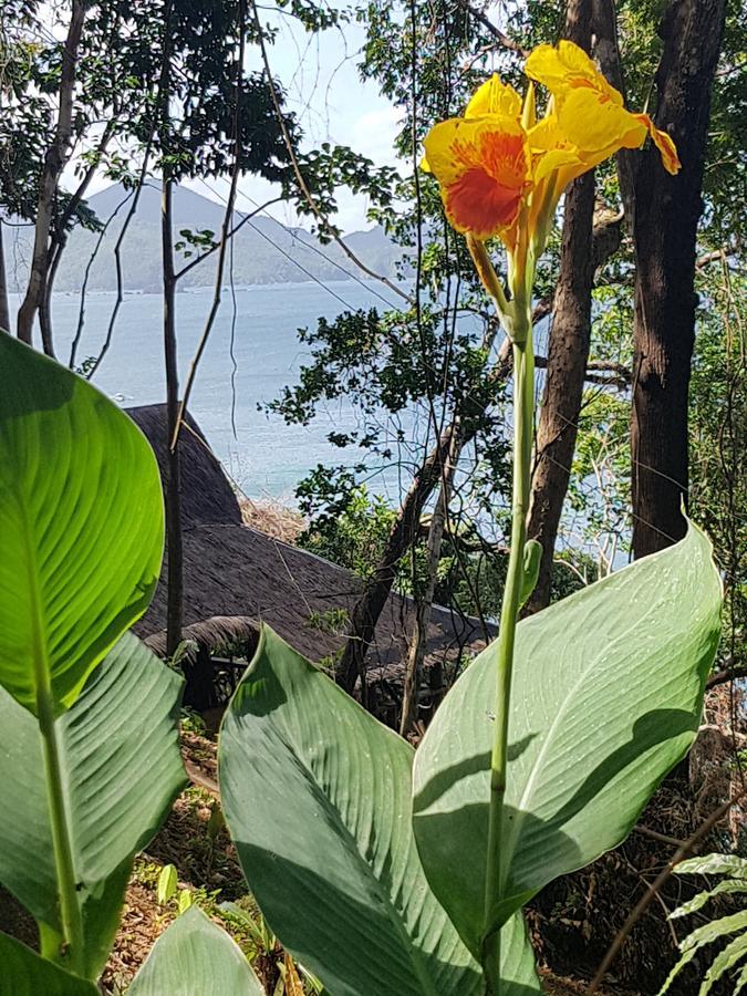 Sunny Island Resort (Adults Only) El Nido Esterno foto